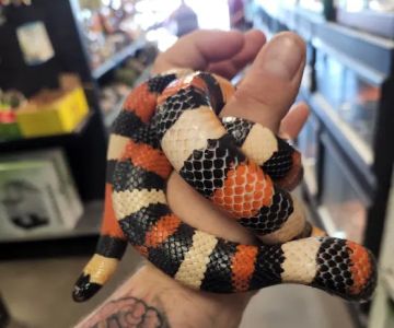 Pet Planet LLC