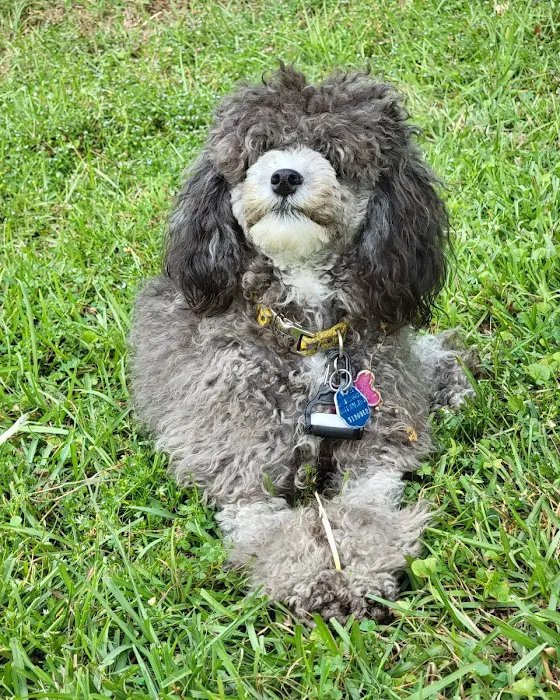 Trussville Animal Hospital 12