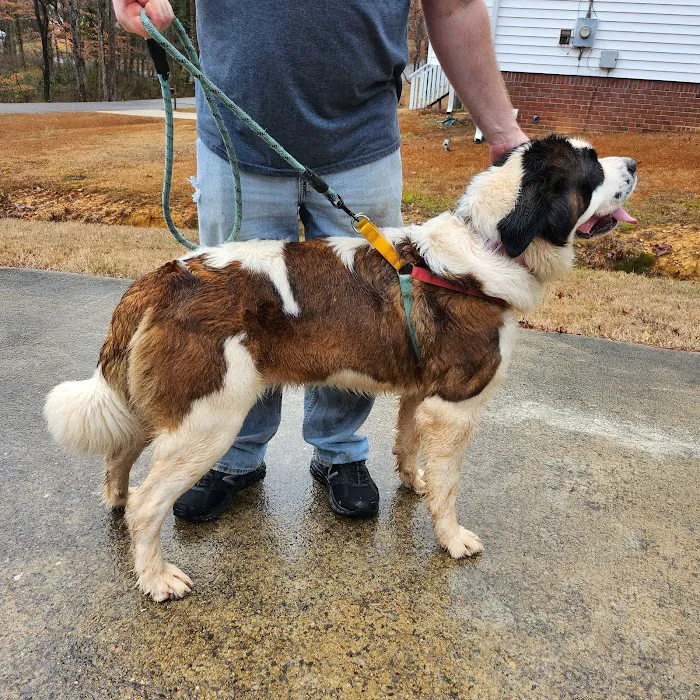 Trussville Animal Hospital 12