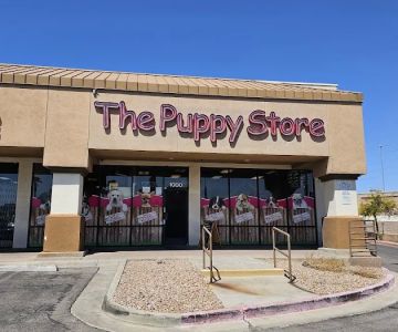 The Puppy Store Henderson