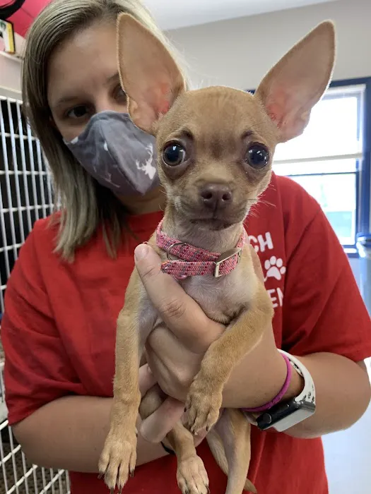 Total Pet Care Hospital 12