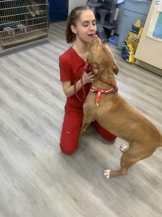 Total Pet Care Hospital 12