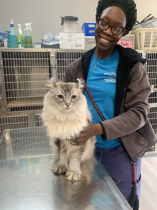 Total Pet Care Hospital 12