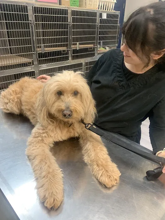 Total Pet Care Hospital 12