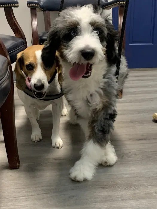 Total Pet Care Hospital 12