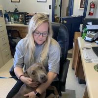Total Pet Care Hospital ico