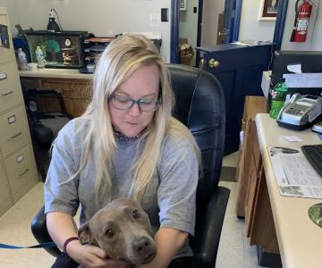 Total Pet Care Hospital