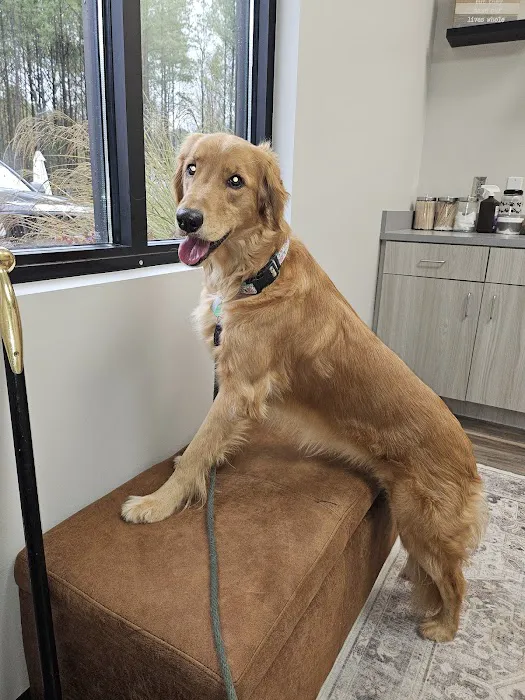 Big Springs Veterinary Clinic 12
