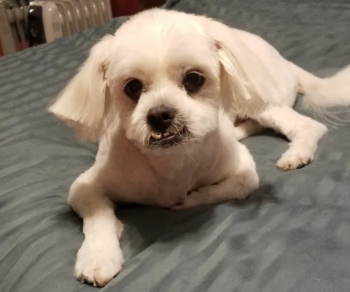 Banfield Pet Hospital 12