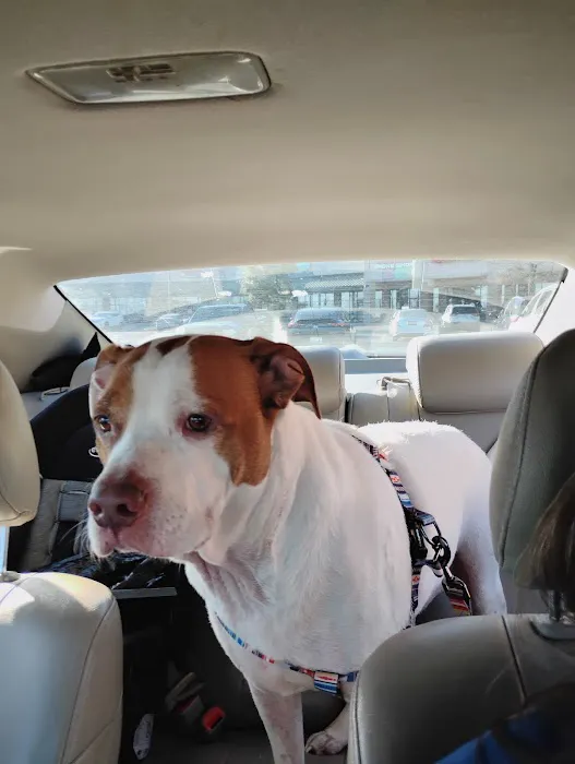 Banfield Pet Hospital 12
