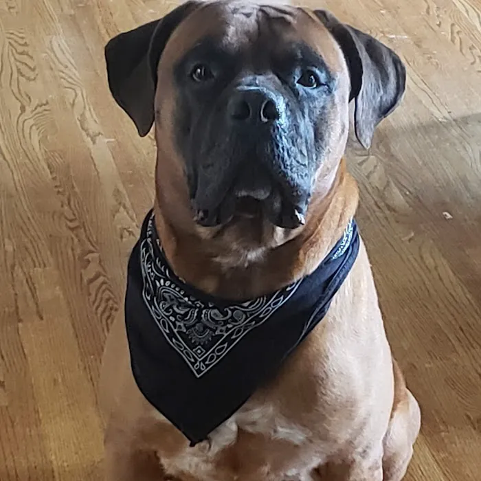 Banfield Pet Hospital 12