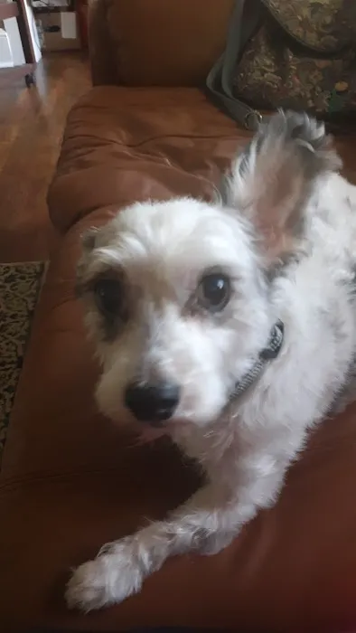 Iredell Companion Animal Hospital 12