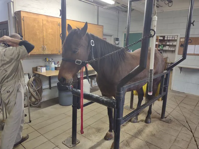 Statesville Bovine & Equine: Blackwelder J T DVM 1