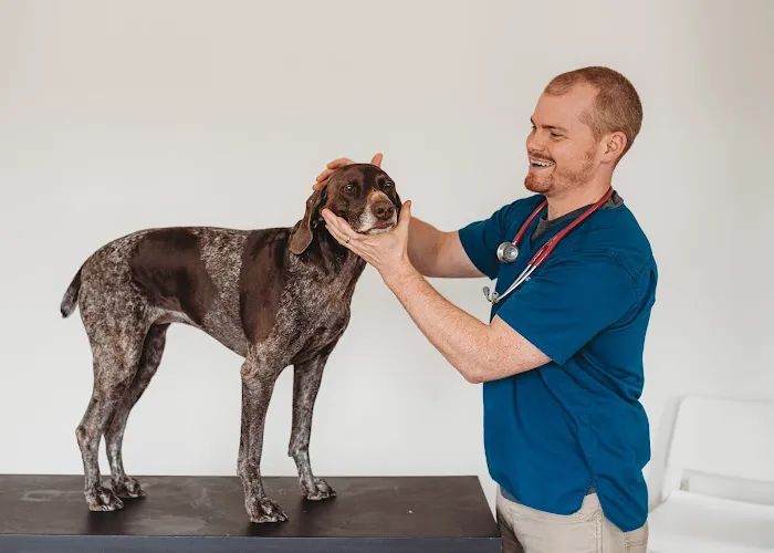 Angelcare Veterinary Hospital 10