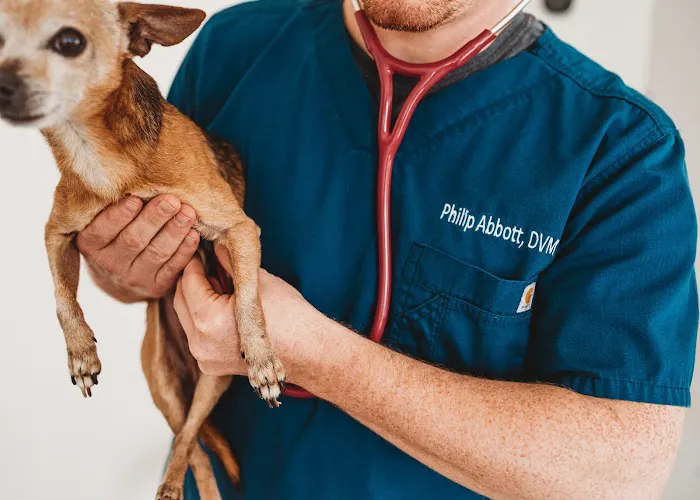 Angelcare Veterinary Hospital 7