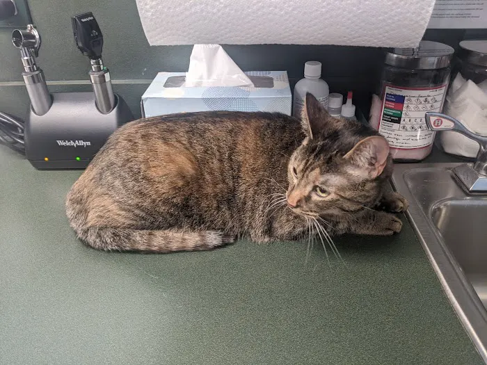 Little Mountain Veterinary Clinic 5