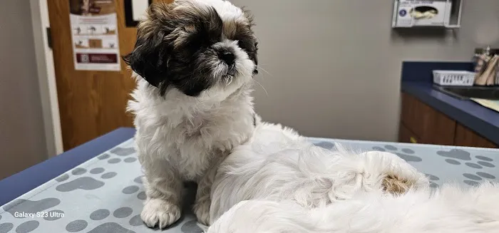 West Shore Animal Hospital 3
