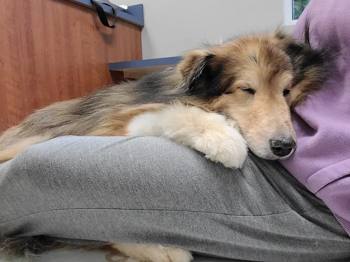 West Shore Animal Hospital 6