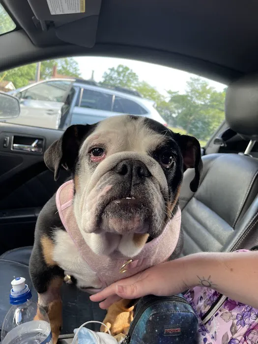 West Shore Animal Hospital 4