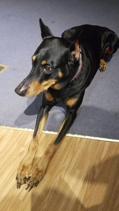 West Shore Animal Hospital 2