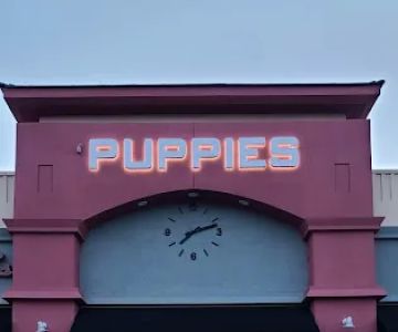 Nevada Puppy Store