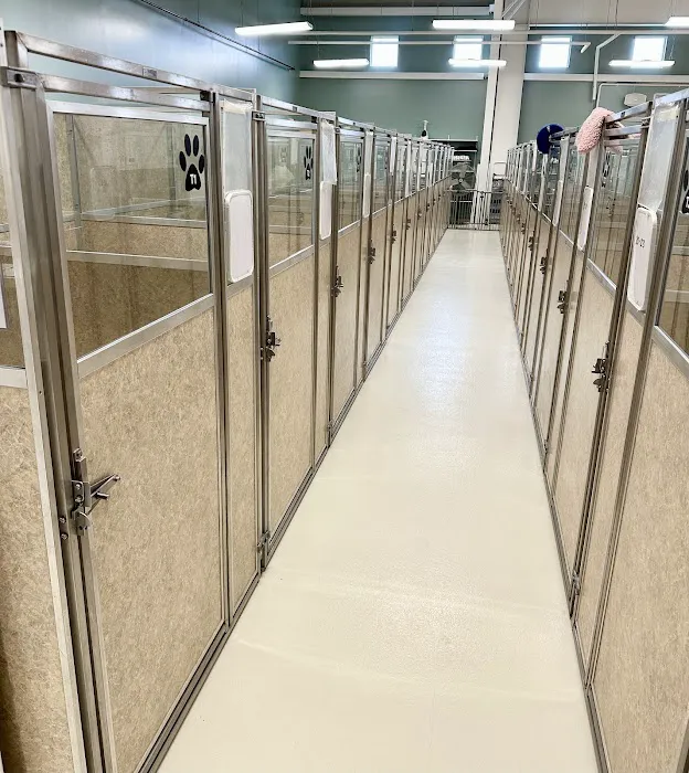 Dry Pond Animal Hospital and Pet Resort 6