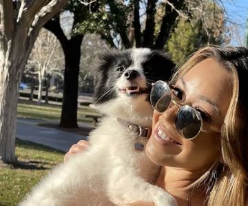 Denver Animal Emergency