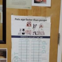 Scotts Creek Animal Hospital: Dr. James Cartner ico