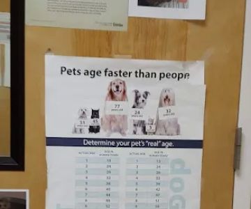 Scotts Creek Animal Hospital: Dr. James Cartner