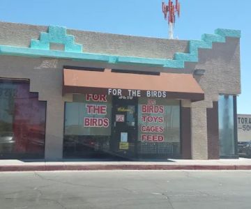 For the Birds