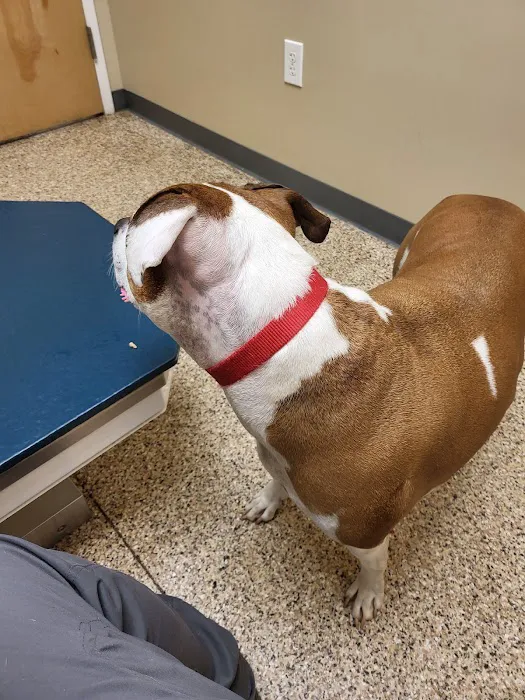 Scotts Creek Animal Hospital 9