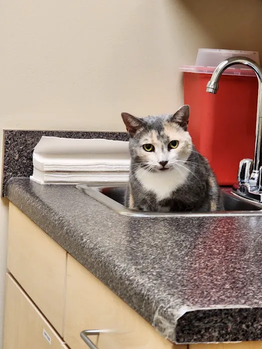 Scotts Creek Animal Hospital 2