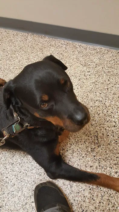 Scotts Creek Animal Hospital 1