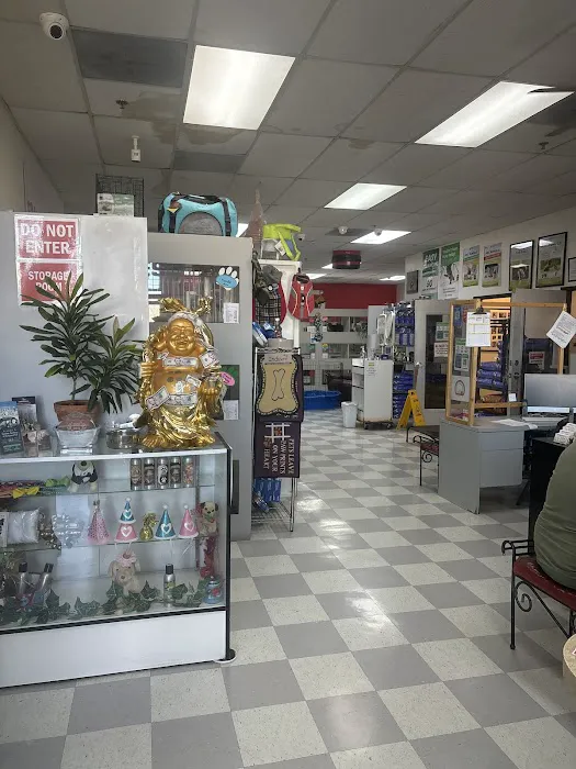 Puppy Boutique Las Vegas 4
