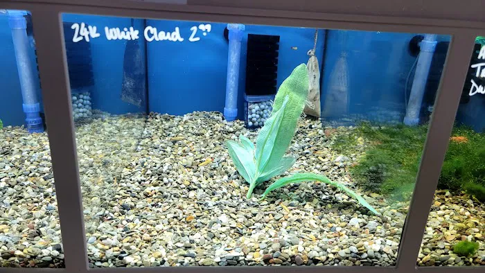 Blue Reef Aquatics 7