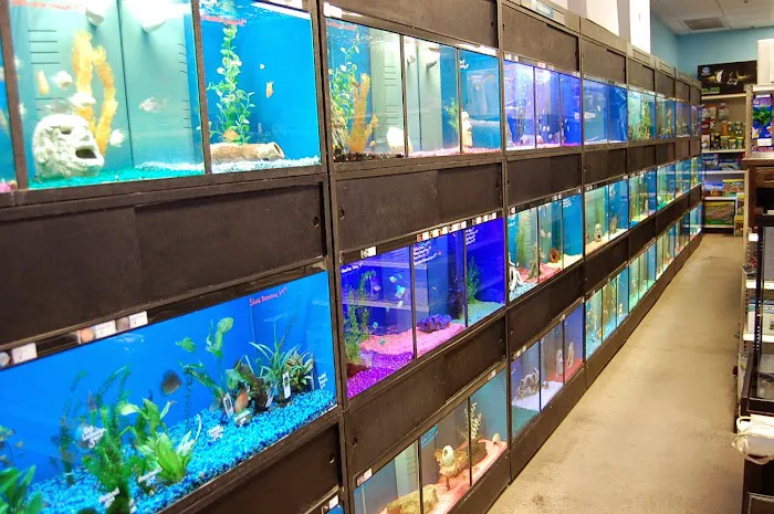 Blue Reef Aquatics 4