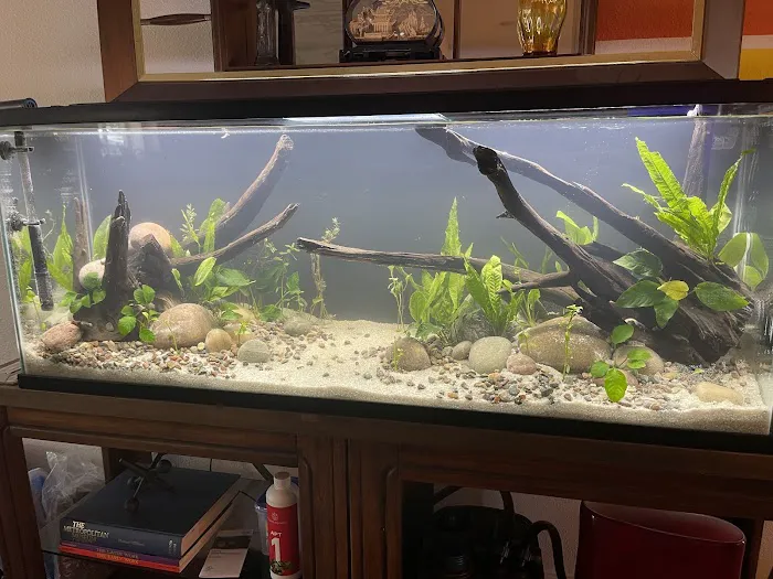 Blue Reef Aquatics 8