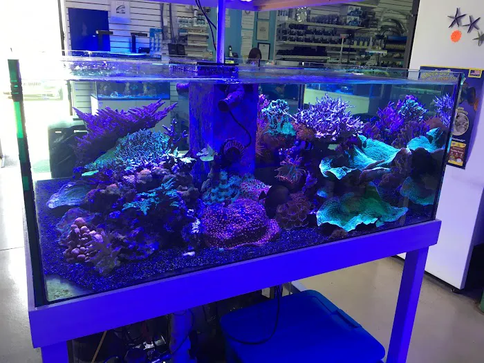 Blue Reef Aquatics 2
