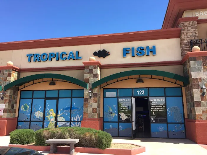 Blue Reef Aquatics 1