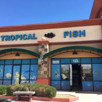Blue Reef Aquatics ico
