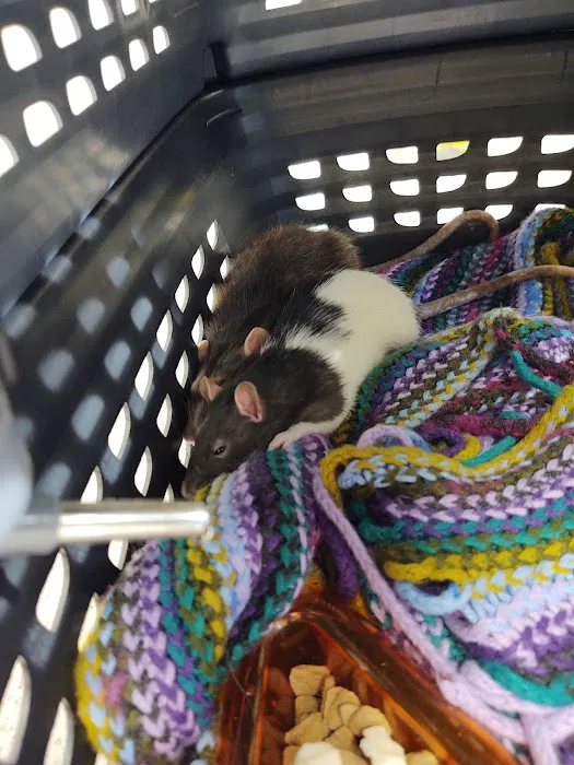 Griffin Avian & Exotic Veterinary Hospital 3