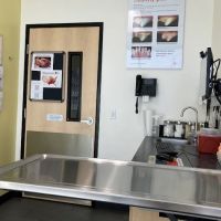 Banfield Pet Hospital ico