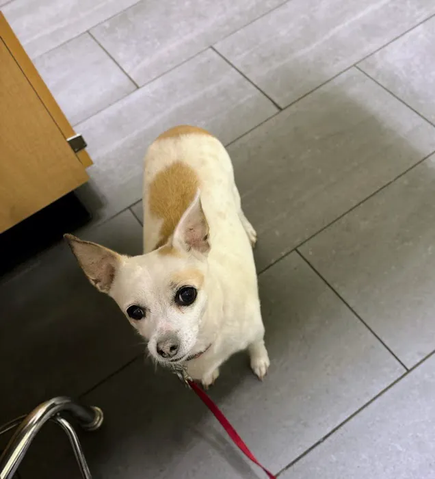 Banfield Pet Hospital 12