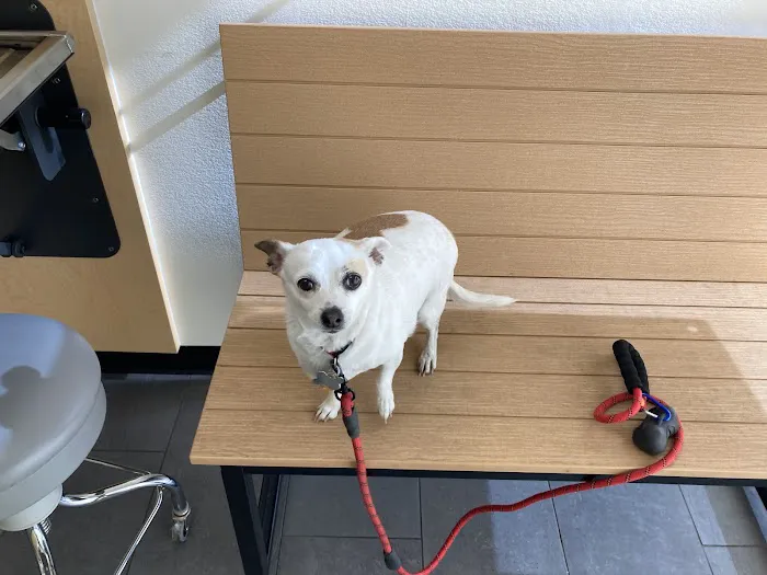 Banfield Pet Hospital 12