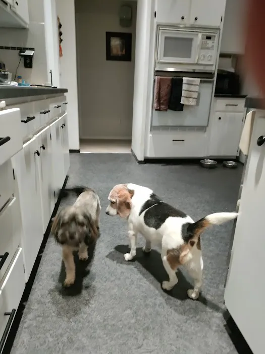 Banfield Pet Hospital 12