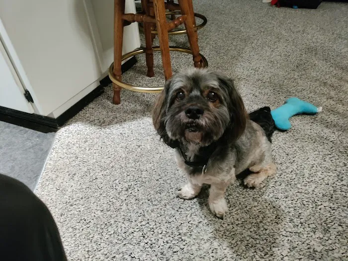 Banfield Pet Hospital 12