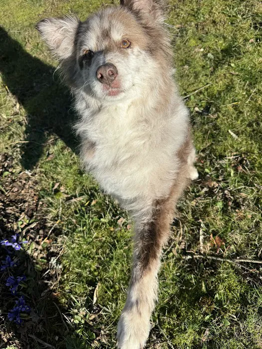 Banfield Pet Hospital 12