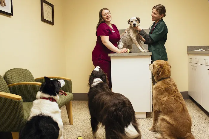 Powell Veterinary Center At Westmoreland 12