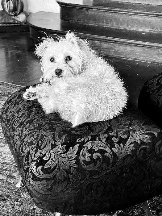 Moreland Veterinary Hospital 12