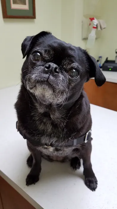 Moreland Veterinary Hospital 12
